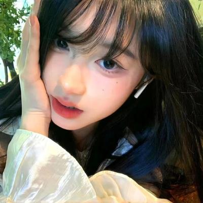 南岸算法2024