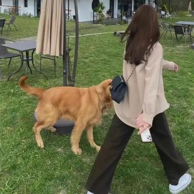 码头首映特别篇